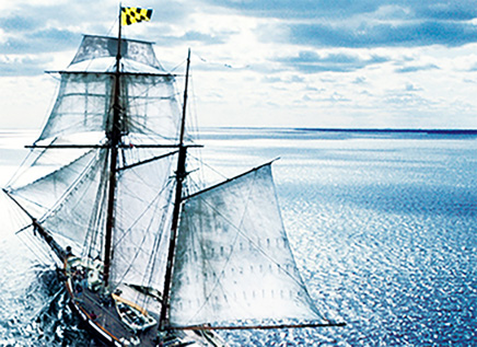 优发国际|随优而动一触即发