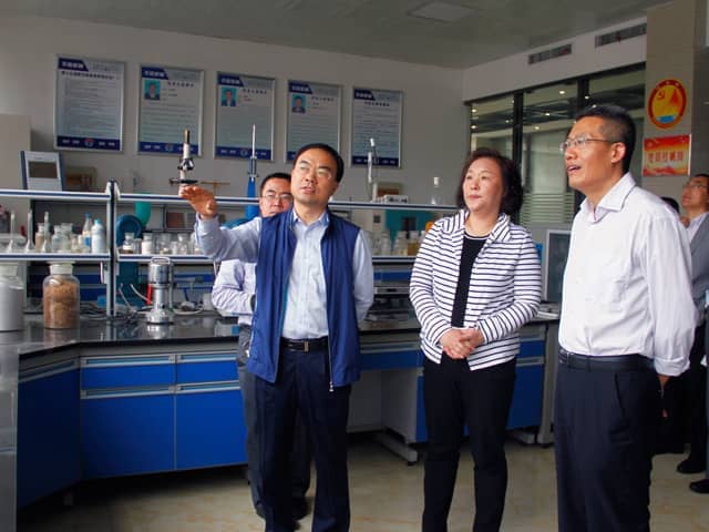 济宁市政协副主席倪丽君莅临优发国际机械调研指导工作